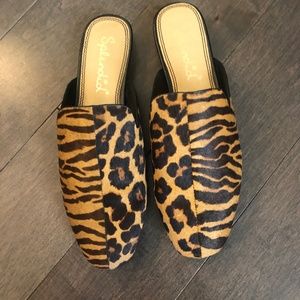 Splendid mule size 6.5 new with tag